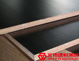 木模板的材料有哪些？各自有什么特點(diǎn)？